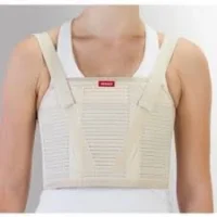 Case Göğüs Korsesi L