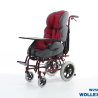 Wollex Özellikli Çocuk Tekerlekli Sandalye W258